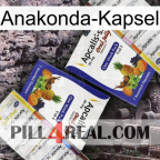 Anaconda Capsule 12